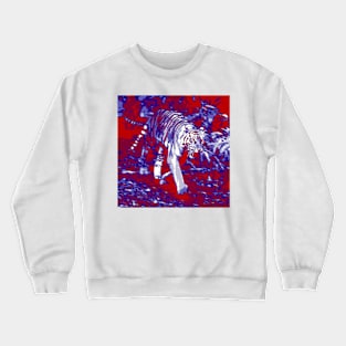 Tiger. Zoo Crewneck Sweatshirt